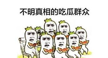 侦探之我是吃瓜群众,揭秘真相背后的秘密
