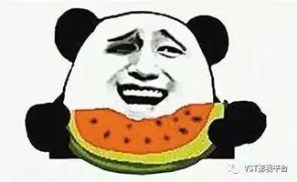 洛小熠和百诺吃瓜群众,吃瓜群众眼中的明星风云