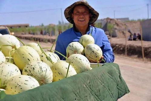 中石化群众吃瓜视频,揭秘职场趣闻背后的真实故事