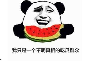 吃瓜群众的表情是什么意思啊,揭秘网络热词背后的真实含义