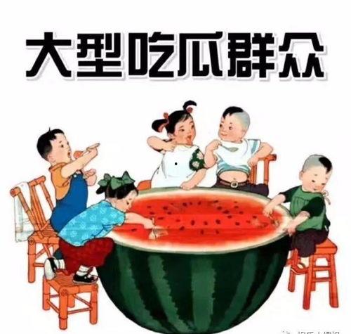 吃瓜群众瓜师傅,瓜师傅带你领略吃瓜群众的欢乐世界