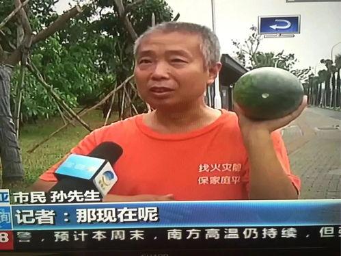 工作中要当个吃瓜群众吗,如何成为一位理智的“吃瓜群众”