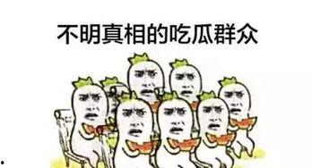 两个人的吃瓜群众是谁说的,两位吃瓜群众的神秘身份