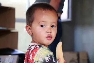 安静吃瓜群众视频,揭秘安静吃瓜群众的趣味世界